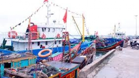 Nam Định: Bất cập hệ thống cơ sở hạ tầng phục vụ nghề cá (11/3/2019)
