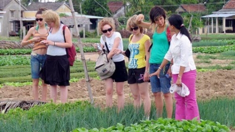 Phát triển du lịch nông nghiệp, nông thôn gắn với xây dựng nông thôn mới (24/3/2019)