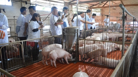 Ứng dụng khoa học kỹ thuật trong chăn nuôi - Giải pháp phòng chống dịch bệnh (18/3/2019)