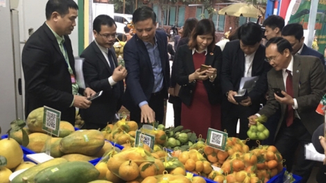 Hà Nội đã làm gì để giải quyết đầu ra trong tiêu thụ nông sản? (4/3/2019)