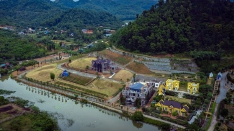 Công bố kết luận thanh tra đất rừng tại 2 xã Minh Trí và Minh Phú, huyện Sóc Sơn (Thời sự trưa 22/3/2019)