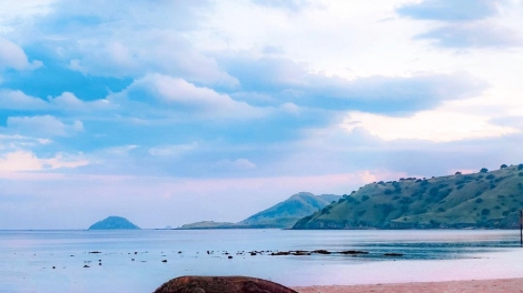 Indonesia sẽ đóng cửa đảo rồng Komodo để ngăn chặn buôn lậu (11/4/2019)