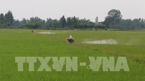 Bộ Nông nghiệp và Phát triển Nông thôn chính thức ban hành quyết định loại bỏ thuốc bảo vệ thực vật chứa hoạt chất Glyphosate ra khỏi Danh mục thuốc Bảo vệ thực vật được phép sử dụng tại Việt Nam (Thời sự chiều 10/4/2019)