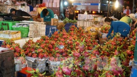 Giải pháp hạn chế tình trạng nông sản gặp khó khi tiêu thụ? (4/4/2019)