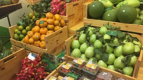 Thách thức cho hàng nông sản Việt xuất khẩu sang Trung Quốc (5/4/2019)