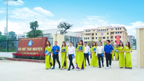 Dừng tuyển sinh những ngành không đáp ứng nhu cầu của xã hội (16/4/2019)