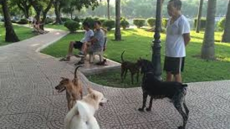 Đừng xem thường mạng sống vì chủ quan (11/4/2019)