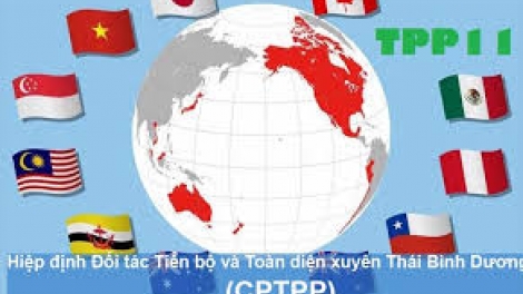 3 tháng Hiệp định Đối tác toàn diện và tiến bộ xuyên Thái Bình Dương (CPTPP) có hiệu lực: những yêu cầu đặt ra trong thời gian tới (14/4/2019)