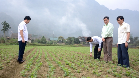 Ngành Nông nghiệp và những giải pháp vượt qua nhiều khó khăn những tháng đầu năm 2019 (23/4/2019)