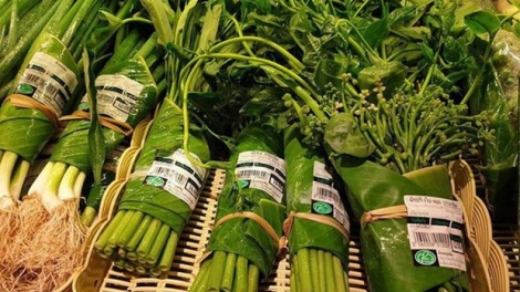 Tiến tới loại bỏ thói quen sử dụng túi ni lon trong tiêu dùng (3/4/2019)