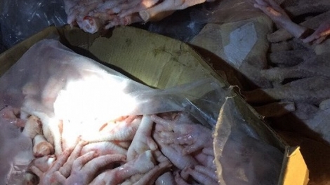 Bắc Giang: Thu giữ 800kg sản phẩm động vật không rõ nguồn gốc xuất xứ (18/4/2019)