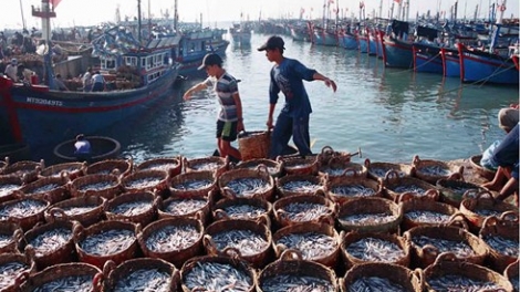 Làm sao để phát triển nghề cá trách nhiệm và bền vững? (5/4/2019)