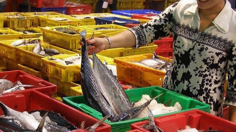 Nam Định: Truy xuất nguồn gốc hải sản còn nhiều khó khăn (8/4/2019)