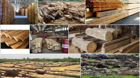 Lâm sản tăng trưởng ngoạn mục: Điểm tựa vững chắc để phát triển lâm nghiệp (15/4/2019)