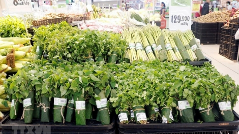 Cần có chính sách khuyến khích các doanh nghiệp phát triển sản xuất kinh doanh xanh, thân thiện với môi trường (8/4/2019)