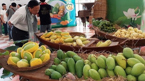 Công bố xuất khẩu lô xoài đầu tiên của Việt Nam sang thị trường Mỹ (Thời sự chiều 18/4/2019)