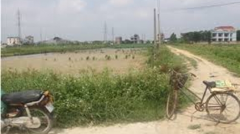 Lấn chiếm đất nông nghiệp ở Hưng Yên: Phải xử lý dứt điểm (8/5/2019)