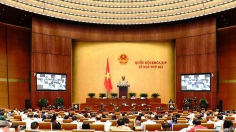 THỜI SỰ 12H TRƯA NGÀY 29/5/2019: Chính phủ chính thức trình dự án Bộ luật Lao động với nhiều sửa đổi.