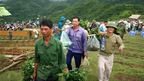 Cựu chiến binh thoát nghèo từ mô hình kinh tế tổng hợp (16/5/2019)