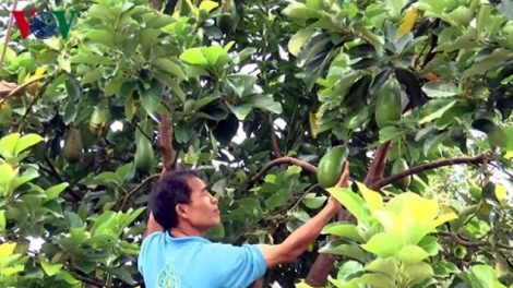 Bài viết cuối trong loạt bài “Nông nghiệp Tây Nguyên: Tìm động lực cho giai đoạn mới” với nhan đề “Đề cao văn hóa nông nghiệp, khích lệ tinh thần doanh nhân” (17/5/2019)