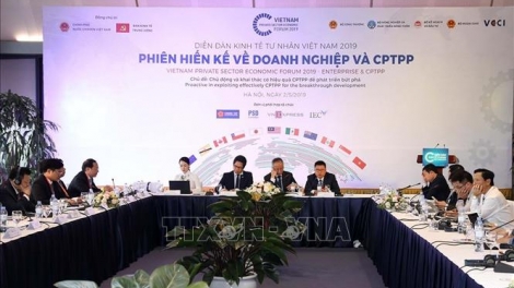 CPTPP - Nhà nước phải sát cánh cùng doanh nghiệp (7/5/2019)