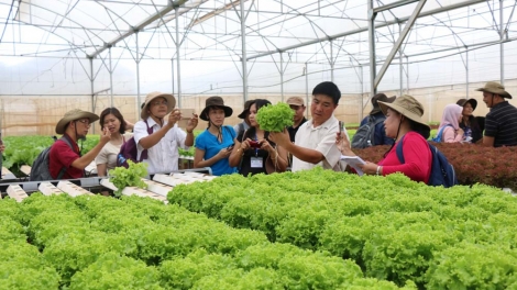 Phát triển nông nghiệp công nghệ cao cần gắn với tiêu thụ sản phẩm (23/5/2019)