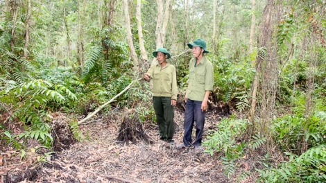 Quyết liệt phòng chống cháy rừng cuối mùa khô (6/5/2019)
