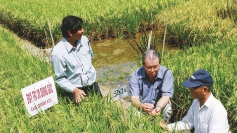 Để doanh nghiệp “gieo mầm” nhiều hơn trên mảnh đất nông nghiệp (4/5/2019)