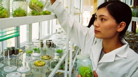 Quản lý tiếp cận nguồn gen và chia sẻ lợi ích từ việc sử dụng nguồn gen (22/5/2019)