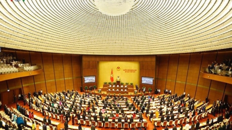 Nghị viện điện tử: Yêu cầu từ thực tiễn (20/5/2019)