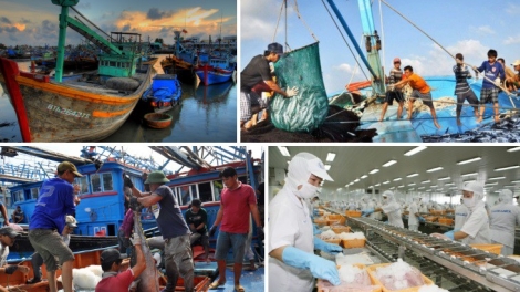 Khắc phục thẻ vàng EC: Luật Thủy sản cần được thực hiện tốt (31/5/2019)