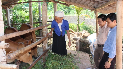 Tuyên dương, khen thưởng những hộ gia đình vươn lên thoát nghèo (13/6/2019)