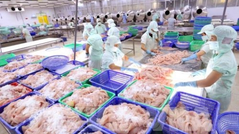Các địa phương nỗ lực thực hiện giải pháp khắc phục thẻ vàng (13/6/2019)