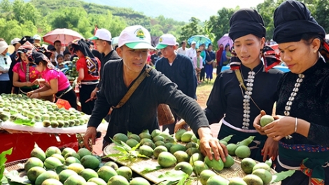 Phát triển kinh tế nhờ nông sản đặc sản của từng địa phương (4/6/2019)