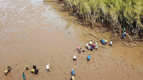 Giải pháp nào để Nghị quyết 120 về phát triển bền vững vùng đồng bằng sông Cửu Long tiếp tục đi vào cuộc sống? (21/6/2019)