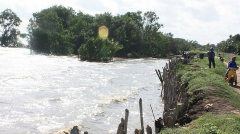 Đồng bằng sông Cửu Long làm gì để thích ứng với tác động của thượng nguồn và biến đổi khí hậu? (26/6/2019)