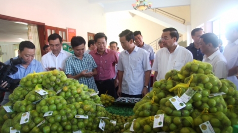 Các địa phương thực hiện xúc tiến, quảng bá thương hiệu hoa quả (5/6/2019)