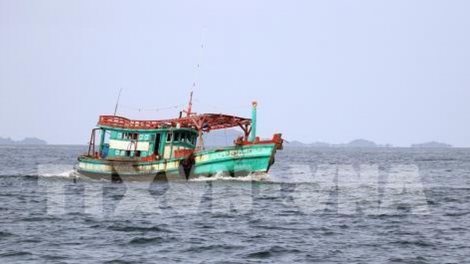 Các địa phương đẩy mạnh triển khai lắp đặt các thiết bị giám sát hành trình cho tầu cá (27/6/2019)