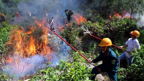 THỜI SỰ 21H30 ĐÊM 30/6/2019: Nhiều địa phương tại miền Trung đang tập trung chữa cháy rừng, trong khi đón chờ thời tiết sẽ dịu dần vào tối mai và bắt đầu có mưa từ mùng 2/7 tới.
