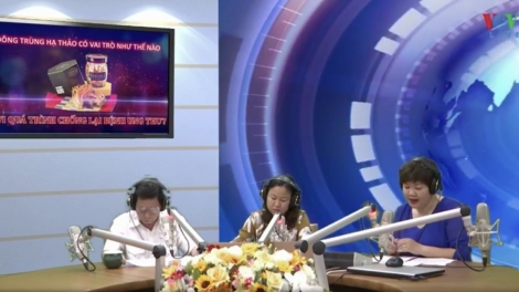 Đông trùng hạ thảo có vai trò như thế nào với quá trình chống lại bệnh ung thư? (1/6/2019)