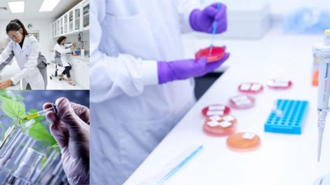 Phát triển thị trường công nghệ sinh học – không nhanh sẽ mất cơ hội (8/6/2019)