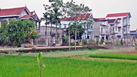 Nông thôn mới Vĩnh Phúc: Giải pháp tăng thu nhập cho nông dân (12/6/2019)