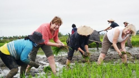 Kinh nghiệm phát triển du lịch nông nghiệp (8/6/2019)