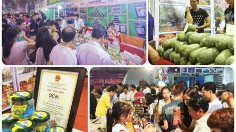 Mỗi xã một sản phẩm đánh thức tiềm năng nông sản (27/6/2019)