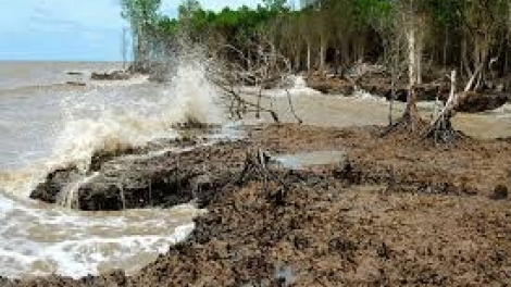 Làm thế nào để nâng cao hiệu quả xử lý sạt lở bờ sông, xói lở bờ biển do biến đổi khí hậu? (29/6/2019)