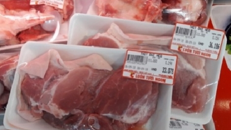 Cấp đông thịt lợn, giải pháp lâu dài để đảm bảo nguồn cung thịt lợn (11/6/2019)