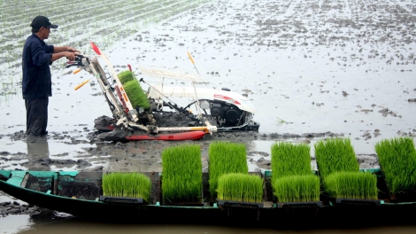 Các ứng dụng công nghệ tiên tiến giảm phát thải khí nhà kính trong chăn nuôi (6/6/2019)