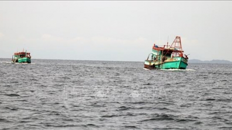 Kiên Giang quyết liệt ngăn chặn khai thác thủy sản bất hợp pháp (20/7/2019)