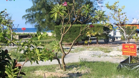 Loạt bài: Trường Sa: Thành phố xanh giữa biển khơi. Bài 1: "Lá phổi xanh" giữa biển khơi  (29/7/2019).