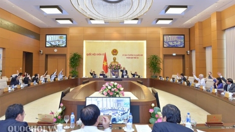 THỜI SỰ TRƯA 12H NGÀY 15/7/2019: Ủy ban Thường vụ Quốc hội khai mạc Phiên họp thứ 35 với nhiều nội dung quan trọng.